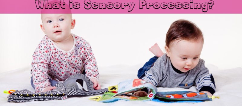 Sensory Processing